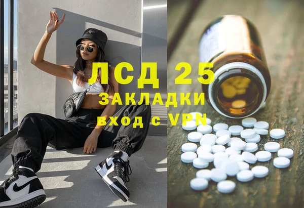 apvp Пересвет