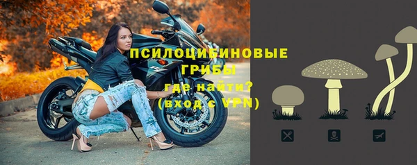 ALPHA PVP Алзамай