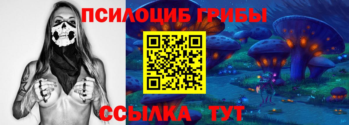 Псилоцибиновые грибы прущие грибы Новоуральск